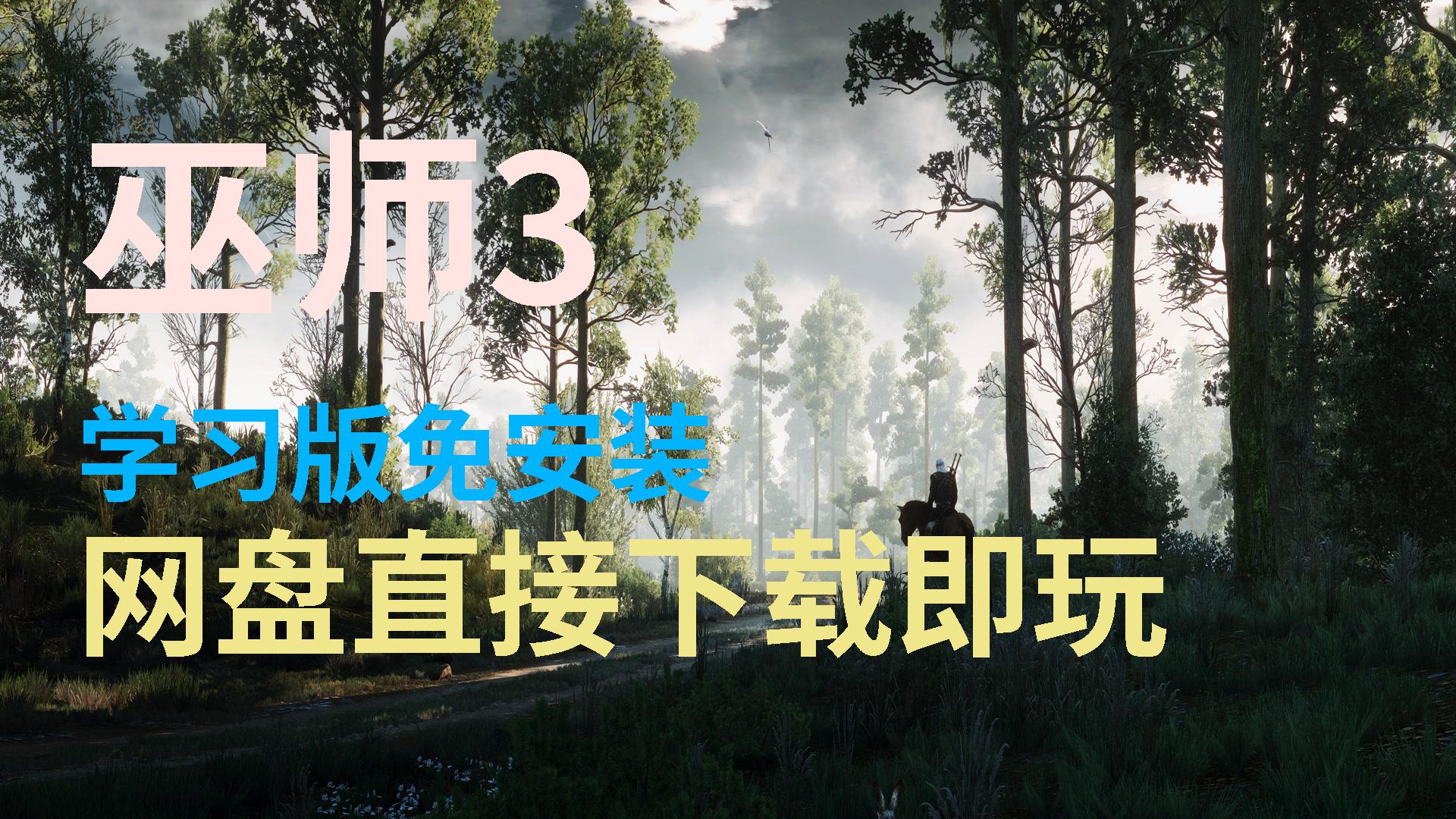 巫师银版安卓巫师下载电脑版