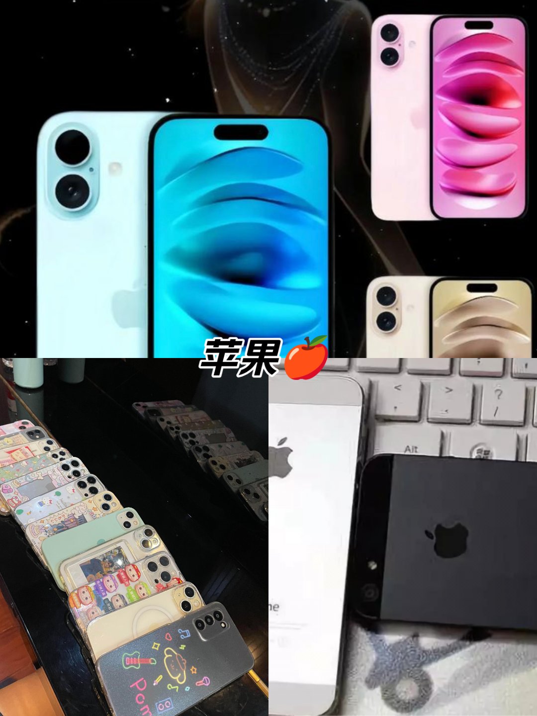苹果版ppsPP助手iOS版-第2张图片-太平洋在线下载