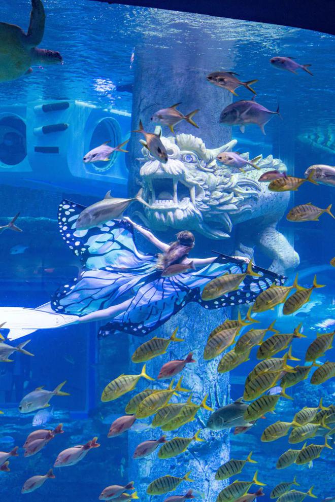 怪怪水族馆手机版怪怪水族馆手机版下载