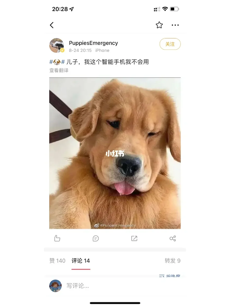 手机版我平时警校平时能玩手机吗-第2张图片-太平洋在线下载
